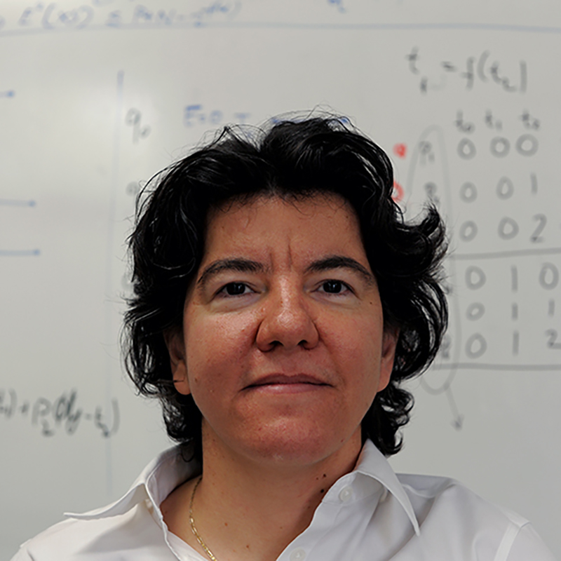 Photo of Dr. Sennur Ulukus